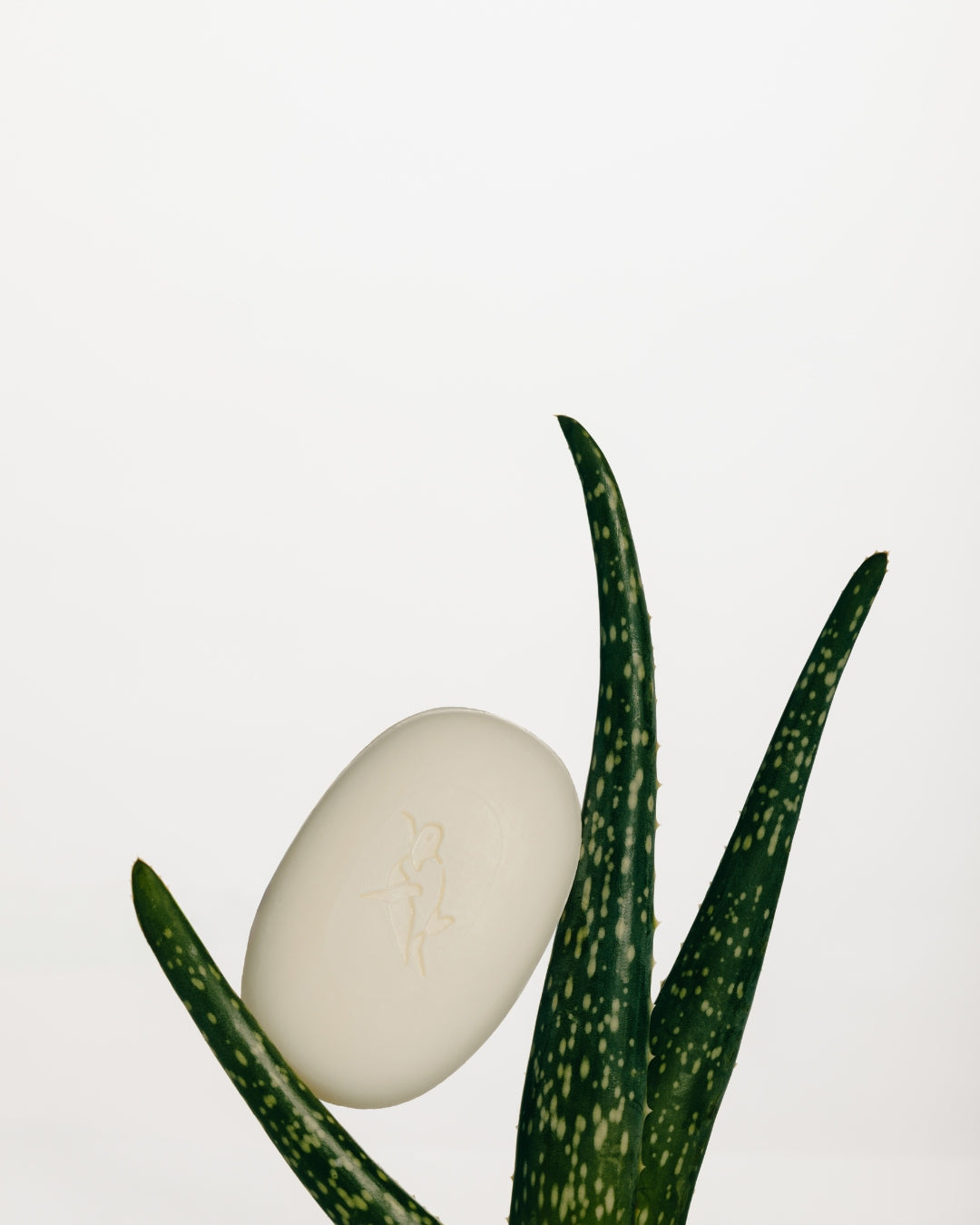 Elliqua No. 0 - Olive &amp; Shea Nourishing Bar